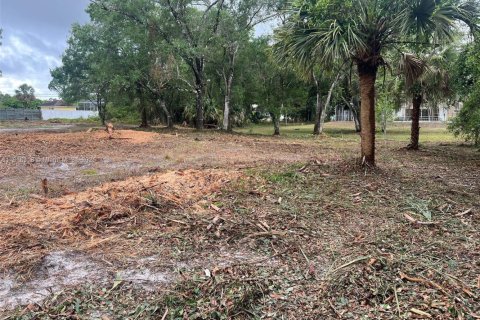 Купить земельный участок в Лихай-Эйкерс, Флорида № 1768828 - фото 5