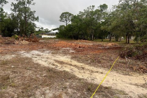 Купить земельный участок в Лихай-Эйкерс, Флорида № 1768828 - фото 8