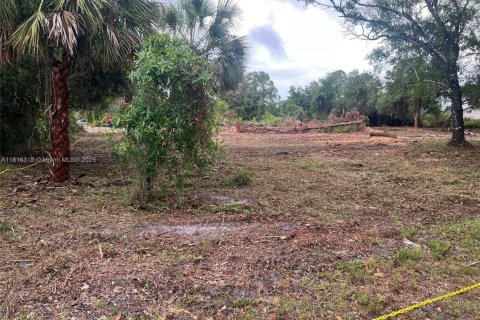 Купить земельный участок в Лихай-Эйкерс, Флорида № 1768828 - фото 3