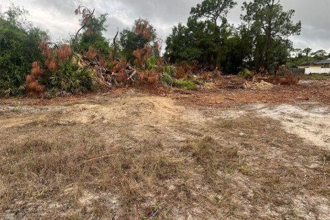 Купить земельный участок в Лихай-Эйкерс, Флорида № 1768828 - фото 2