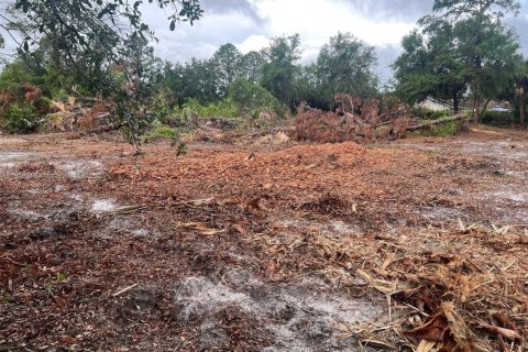 Купить земельный участок в Лихай-Эйкерс, Флорида № 1768828 - фото 6