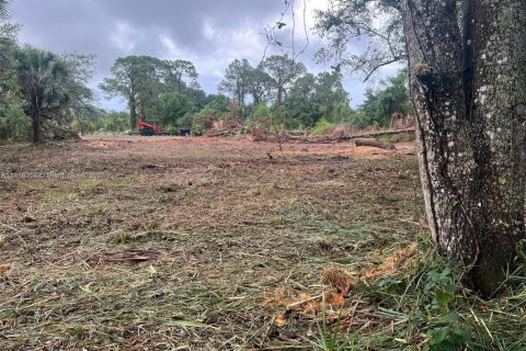 Купить земельный участок в Лихай-Эйкерс, Флорида № 1768828 - фото 1