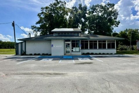 Commercial property in Bell, Florida 274.06 sq.m. № 1837249 - photo 2