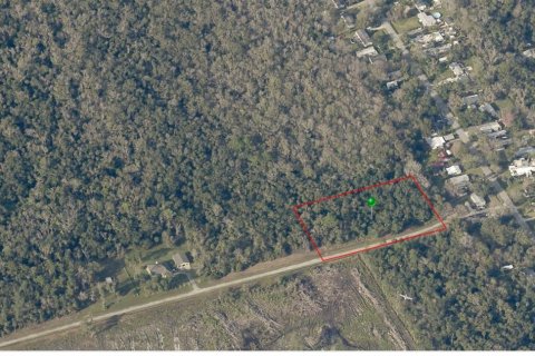Terreno en venta en New Smyrna Beach, Florida № 836041 - foto 1