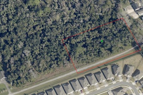 Terreno en venta en New Smyrna Beach, Florida № 836041 - foto 2