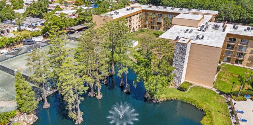 Condo à Tampa, Floride, 1 chambre № 1902917