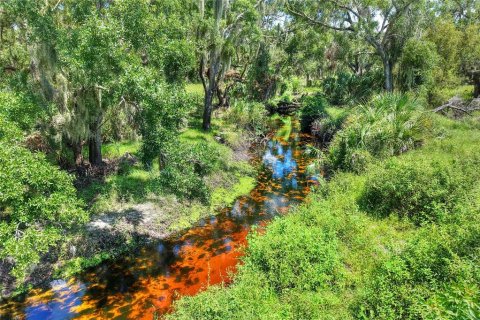 Terreno en venta en Riverview, Florida № 1904450 - foto 16