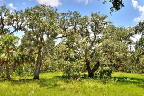 Terreno en venta en Riverview, Florida № 1904450 - foto 25