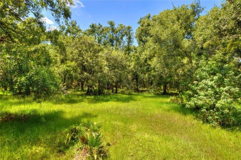 Terreno en venta en Riverview, Florida № 1904450 - foto 18