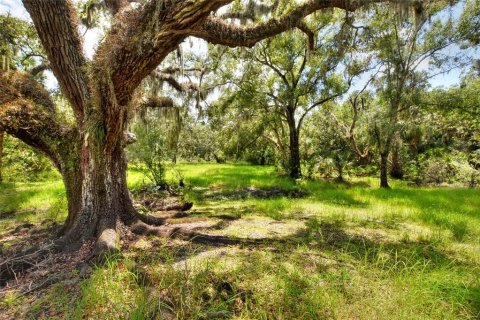 Terreno en venta en Riverview, Florida № 1904450 - foto 20
