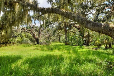 Terreno en venta en Riverview, Florida № 1904450 - foto 19