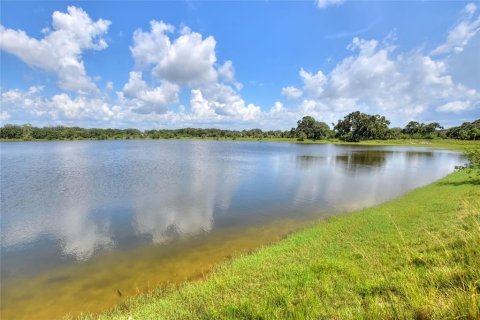 Terreno en venta en Riverview, Florida № 1904450 - foto 5
