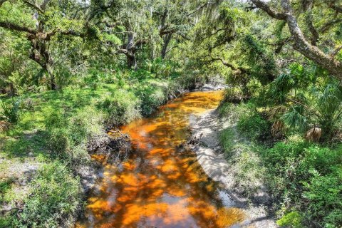 Terreno en venta en Riverview, Florida № 1904450 - foto 14