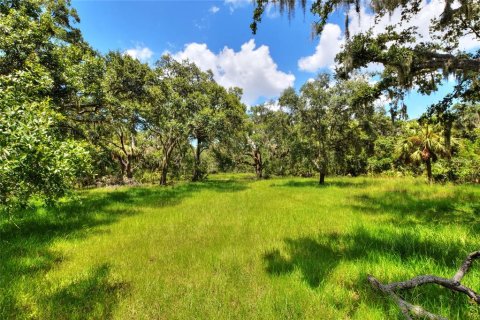 Terreno en venta en Riverview, Florida № 1904450 - foto 17