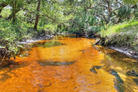 Terreno en venta en Riverview, Florida № 1904450 - foto 15