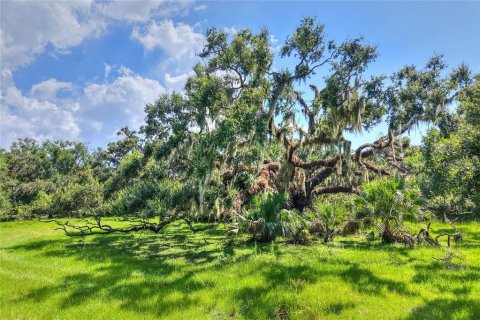 Terreno en venta en Riverview, Florida № 1904450 - foto 21