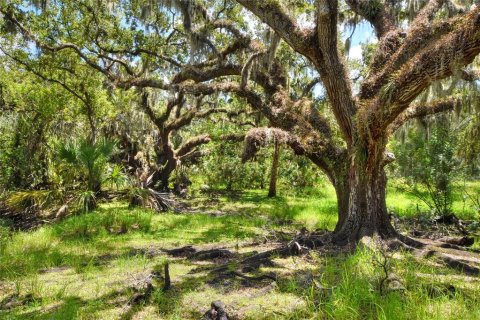 Terreno en venta en Riverview, Florida № 1904450 - foto 22