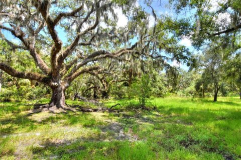 Terreno en venta en Riverview, Florida № 1904450 - foto 23