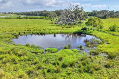Terreno en venta en Riverview, Florida № 1904450 - foto 27