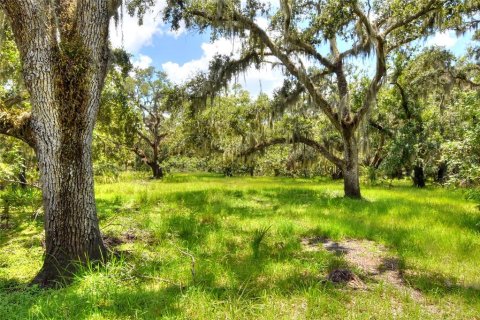 Terreno en venta en Riverview, Florida № 1904450 - foto 24