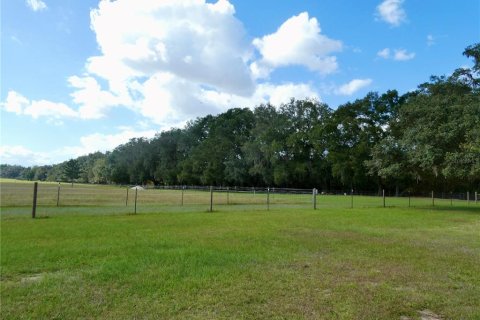 Villa ou maison à vendre à Newberry, Floride: 4 chambres, 229 m2 № 2437284 - photo 4