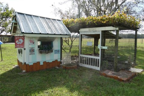 Villa ou maison à vendre à Newberry, Floride: 4 chambres, 229 m2 № 2437284 - photo 3