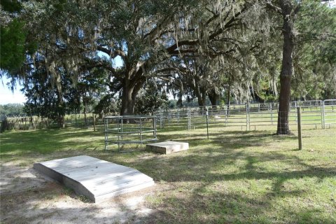 Villa ou maison à vendre à Newberry, Floride: 4 chambres, 229 m2 № 2437284 - photo 2