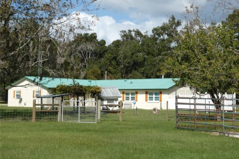 Villa ou maison à vendre à Newberry, Floride: 4 chambres, 229 m2 № 2437284 - photo 10