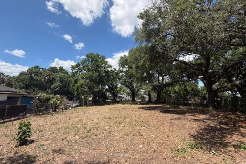 Land in Tampa, Florida № 2229244 - photo 7
