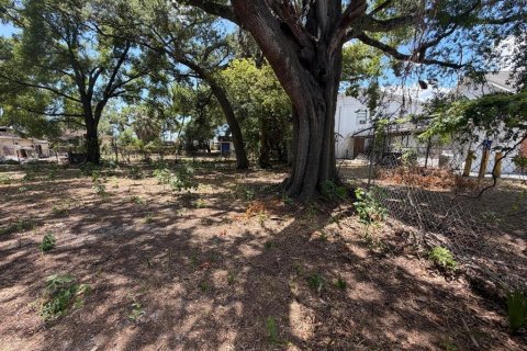 Land in Tampa, Florida № 2229244 - photo 4