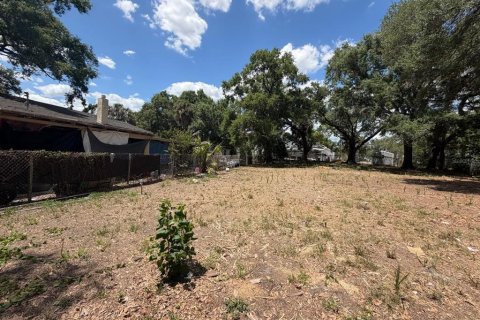 Land in Tampa, Florida № 2229244 - photo 2