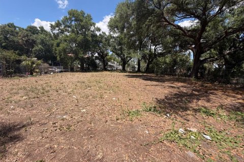 Land in Tampa, Florida № 2229244 - photo 6