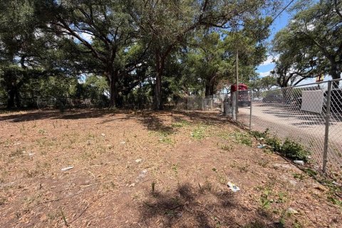 Land in Tampa, Florida № 2229244 - photo 8