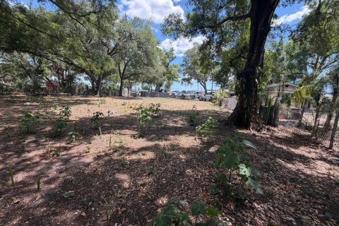 Land in Tampa, Florida № 2229244 - photo 3