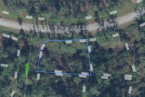 Land in Sebring, Florida № 2202814 - photo 3