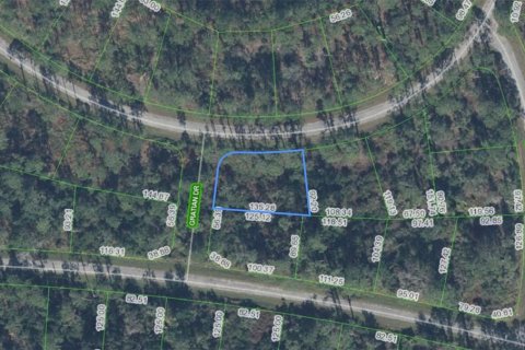 Terrain à Sebring, Floride № 2202814