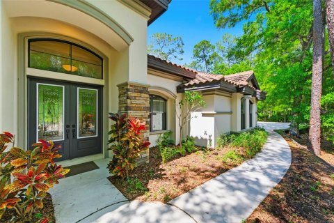House in Palm Harbor, Florida 4 bedrooms, 318.84 sq.m. № 2106049 - photo 2