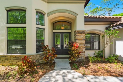 Villa ou maison à Palm Harbor, Floride 4 chambres, 318.84 m2 № 2106049
