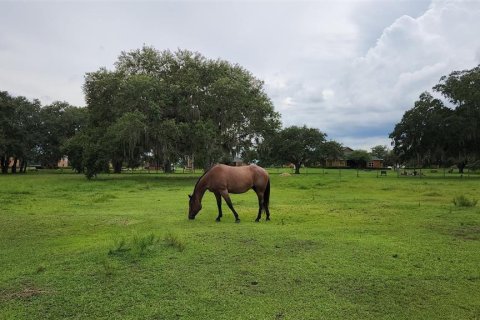 Land in River Ranch, Florida № 1530883 - photo 13