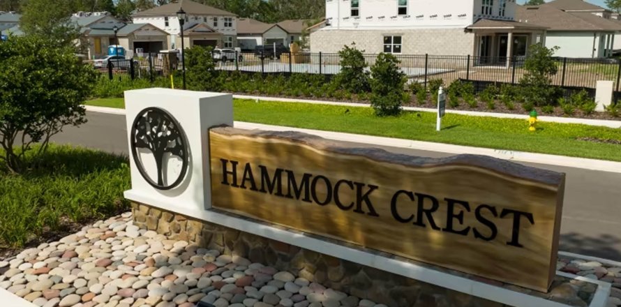 ЖК HAMMOCK CREST в Ривервью, Флорида № 205330