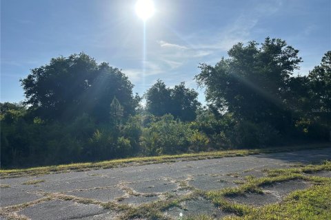 Land in North Port, Florida № 2159364 - photo 2