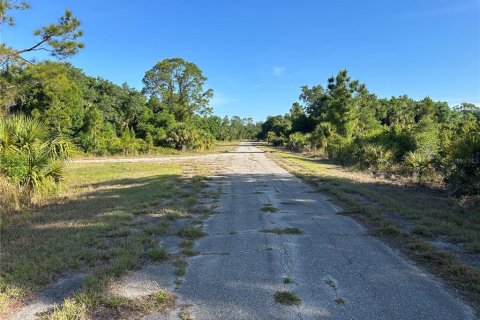 Land in North Port, Florida № 2159364 - photo 5