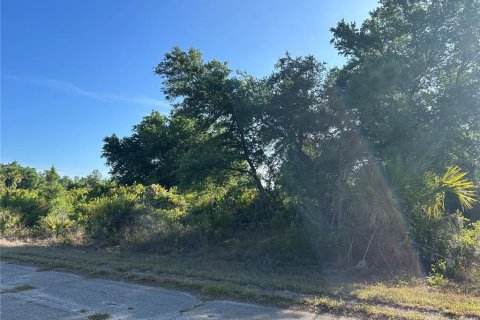 Land in North Port, Florida № 2159364 - photo 3