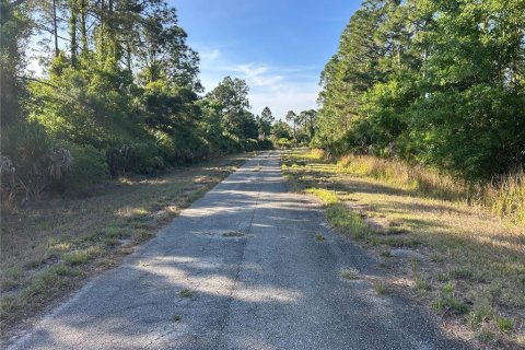 Land in North Port, Florida № 2159364 - photo 4