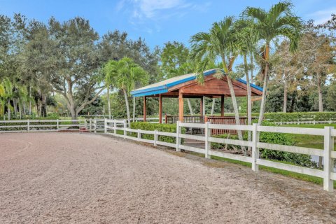 Immobilier commercial à louer à Parkland, Floride № 888076 - photo 1