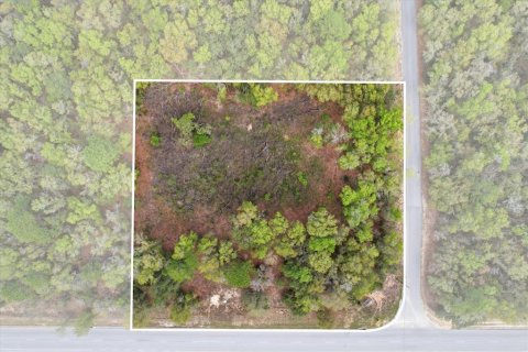 Propiedad comercial en venta en Hernando, Florida № 2106045 - foto 20