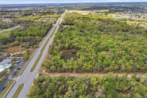 Propiedad comercial en venta en Hernando, Florida № 2106045 - foto 16