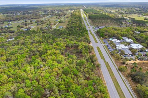 Propiedad comercial en venta en Hernando, Florida № 2106045 - foto 27