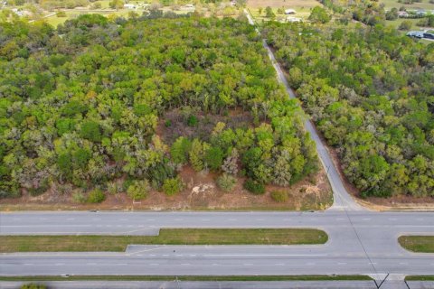 Propiedad comercial en venta en Hernando, Florida № 2106045 - foto 13