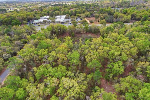 Propiedad comercial en venta en Hernando, Florida № 2106045 - foto 21